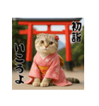 毎年使える♡スコティッシュフォールド正月（個別スタンプ：14）