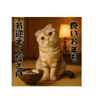 毎年使える♡スコティッシュフォールド正月（個別スタンプ：18）