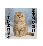 毎年使える♡スコティッシュフォールド正月（個別スタンプ：21）