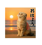 毎年使える♡スコティッシュフォールド正月（個別スタンプ：23）