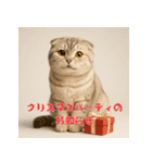 毎年使える♡スコティッシュフォールド正月（個別スタンプ：26）