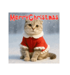 毎年使える♡スコティッシュフォールド正月（個別スタンプ：28）