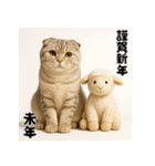 毎年使える♡スコティッシュフォールド正月（個別スタンプ：36）