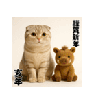 毎年使える♡スコティッシュフォールド正月（個別スタンプ：40）