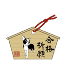 ボストンテリアのお正月2026 -01-（個別スタンプ：5）