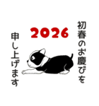 ボストンテリアのお正月2026 -01-（個別スタンプ：16）