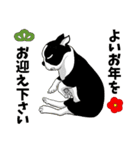 ボストンテリアのお正月2026 -01-（個別スタンプ：21）