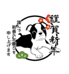 ボストンテリアのお正月2026 -01-（個別スタンプ：37）