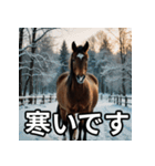 お正月に送れる馬のスタンプ（個別スタンプ：23）
