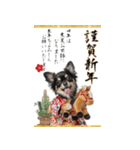 動くチワワ♡あけおめ年賀状（個別スタンプ：1）