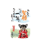 動くチワワ♡あけおめ年賀状（個別スタンプ：2）