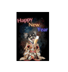 動くチワワ♡あけおめ年賀状（個別スタンプ：5）