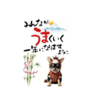 動くチワワ♡あけおめ年賀状（個別スタンプ：6）