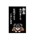 動くチワワ♡あけおめ年賀状（個別スタンプ：12）