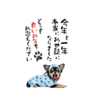 動くチワワ♡あけおめ年賀状（個別スタンプ：13）