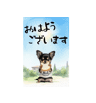 動くチワワ♡あけおめ年賀状（個別スタンプ：15）