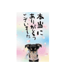 動くチワワ♡あけおめ年賀状（個別スタンプ：22）