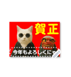 書き込める年賀状♥サングラス猫（個別スタンプ：1）