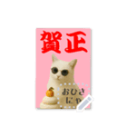 書き込める年賀状♥サングラス猫（個別スタンプ：6）