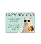 書き込める年賀状♥サングラス猫（個別スタンプ：7）