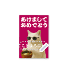 書き込める年賀状♥サングラス猫（個別スタンプ：8）