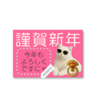 書き込める年賀状♥サングラス猫（個別スタンプ：9）