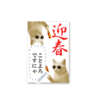 書き込める年賀状♥サングラス猫（個別スタンプ：10）