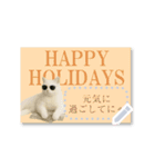 書き込める年賀状♥サングラス猫（個別スタンプ：11）