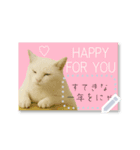 書き込める年賀状♥サングラス猫（個別スタンプ：13）
