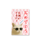 書き込める年賀状♥サングラス猫（個別スタンプ：14）