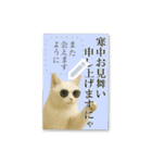 書き込める年賀状♥サングラス猫（個別スタンプ：16）