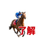 あけおめ競馬（個別スタンプ：30）