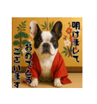 毎年使える♡フレンチブルドッグの年末年始（個別スタンプ：1）