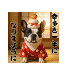 毎年使える♡フレンチブルドッグの年末年始（個別スタンプ：5）