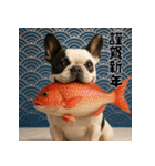 毎年使える♡フレンチブルドッグの年末年始（個別スタンプ：11）