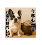毎年使える♡フレンチブルドッグの年末年始（個別スタンプ：17）