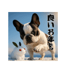毎年使える♡フレンチブルドッグの年末年始（個別スタンプ：18）