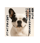 毎年使える♡フレンチブルドッグの年末年始（個別スタンプ：22）