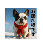毎年使える♡フレンチブルドッグの年末年始（個別スタンプ：25）