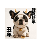 毎年使える♡フレンチブルドッグの年末年始（個別スタンプ：30）