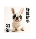 毎年使える♡フレンチブルドッグの年末年始（個別スタンプ：32）