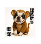 毎年使える♡フレンチブルドッグの年末年始（個別スタンプ：37）