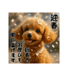 毎年使える♡トイプードルの年末年始（個別スタンプ：2）