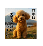 毎年使える♡トイプードルの年末年始（個別スタンプ：4）