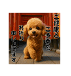 毎年使える♡トイプードルの年末年始（個別スタンプ：8）