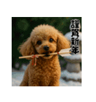 毎年使える♡トイプードルの年末年始（個別スタンプ：9）