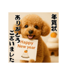 毎年使える♡トイプードルの年末年始（個別スタンプ：10）