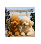 毎年使える♡トイプードルの年末年始（個別スタンプ：12）