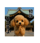 毎年使える♡トイプードルの年末年始（個別スタンプ：13）