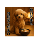 毎年使える♡トイプードルの年末年始（個別スタンプ：14）